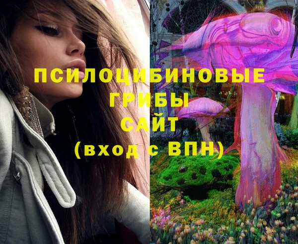 МДПВ Абинск