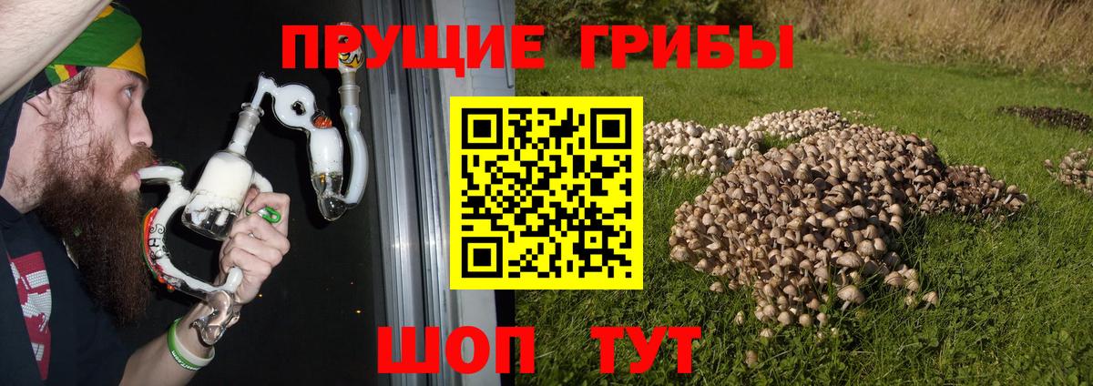 Шебекино  Галлюциногенные грибы ЛСД  Псилоцибиновые грибы Cubensis  Вход с VPN 