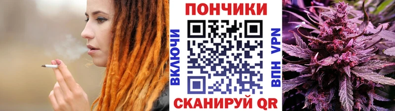 Шишки марихуана план Шебекино